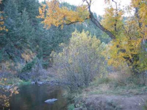 A view of Bear Creek in Colorado